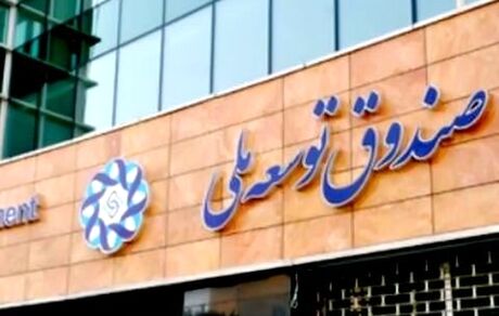 دادستان کل کشور با وصول مالیات از صندوق توسعه ملی مخالفت کرد