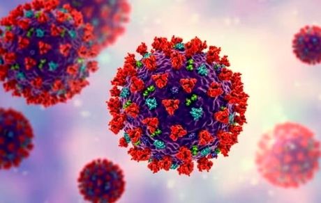 شیوع بیماری عفونی مسری در ویتنام