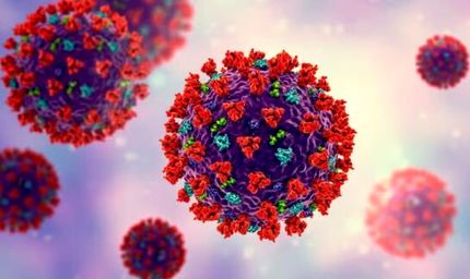 شیوع بیماری عفونی مسری در ویتنام