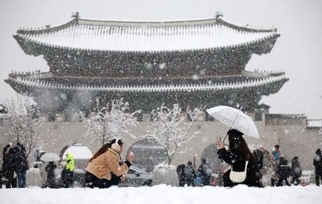 بارش شدید برف در کره جنوبی چندین کشته و لغو پروازها را به همراه داشت