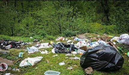 تذکر وزیر گردشگری: وضعیت زباله در جاده‌ها و شمال کشور "اسفبار" است