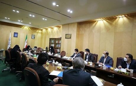 قاسم پور: بیمه زنان خانه‌دار مطالبه‌ای جدی در میان زنان است