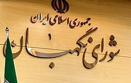 درخواست مسیح مهاجری برای تغییر در ترکیب اعضای شورای نگهبان/ نظارت شورای نگهبان، استسلاقی است!