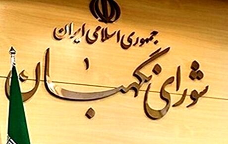 درخواست مسیح مهاجری برای تغییر در ترکیب اعضای شورای نگهبان/ نظارت شورای نگهبان، استسلاقی است!