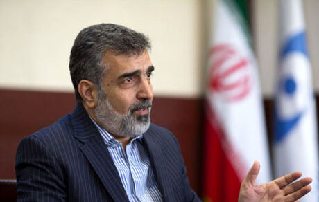 سازمان انرژی اتمی دیدار شهید فخری زاده با مقامات و بازرسان آژانس را تکذیب  کرد