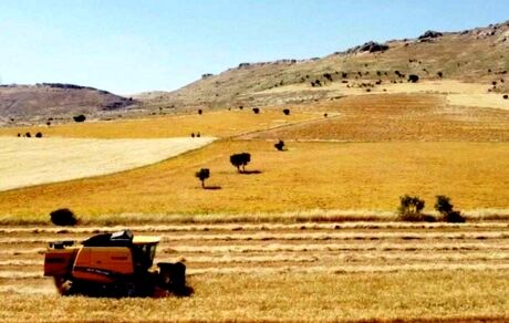 کاهش ۲۰ درصدی تولید موادغذایی در ترکیه بدلیل زلزله