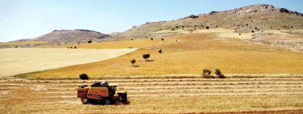 کاهش ۲۰ درصدی تولید موادغذایی در ترکیه بدلیل زلزله