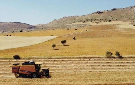کاهش ۲۰ درصدی تولید موادغذایی در ترکیه بدلیل زلزله