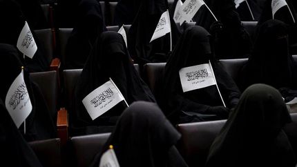 گروهی از زنان افغان در دانشگاه از طالبان حکایت کردند
