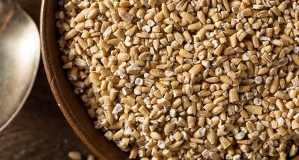 محموله جو حشره زده به استاندارد اظهار نشده بود/ اجازه ترخیص نمیدهیم