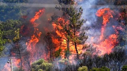 تلاش برای خاموشی آتش سوزی جنگل‌های شمال با دو هواپیمای غول‌پیکر ایلوشین سپاه و هشت فروند بالگرد