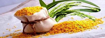 ارزن بدون گلوتن فقط غذای پرندگان نیست