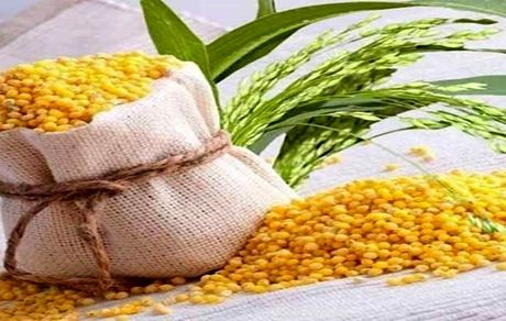 ارزن بدون گلوتن فقط غذای پرندگان نیست