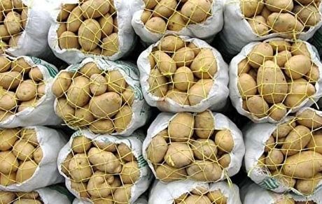 سیب زمینی ایران هم برگشت خورد / ترکمنستان بار ایران را پس فرستاد