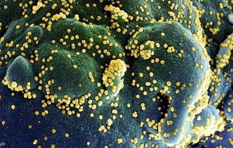 کرونای طولانی‌مدت؛ کشفی نگران‌کننده در بدن مبتلایان!