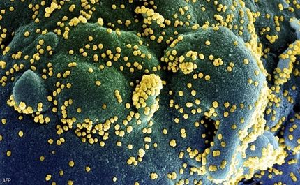 کرونای طولانی‌مدت؛ کشفی نگران‌کننده در بدن مبتلایان!