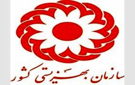 آغاز به‌کار مجمع خیرین بانوان نیکوکار/همکاری حدود 10 هزار خَیِر با بهزیستی