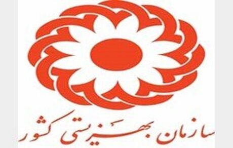 آغاز به‌کار مجمع خیرین بانوان نیکوکار/همکاری حدود 10 هزار خَیِر با بهزیستی