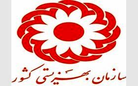 آغاز به‌کار مجمع خیرین بانوان نیکوکار/همکاری حدود 10 هزار خَیِر با بهزیستی