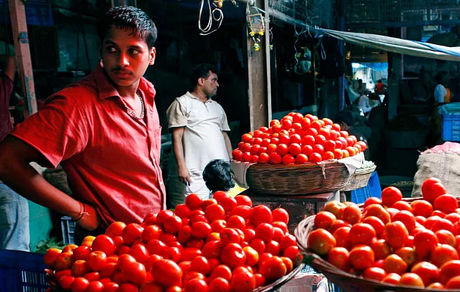 افزایش ۴۰۰ درصدی قیمت گوجه فرنگی در هند