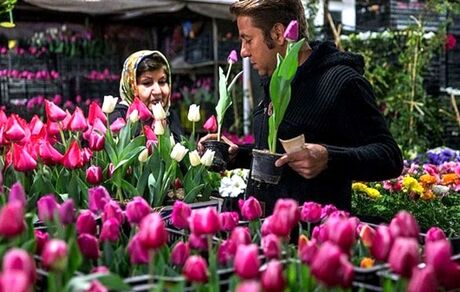چرا گل گران شد؟