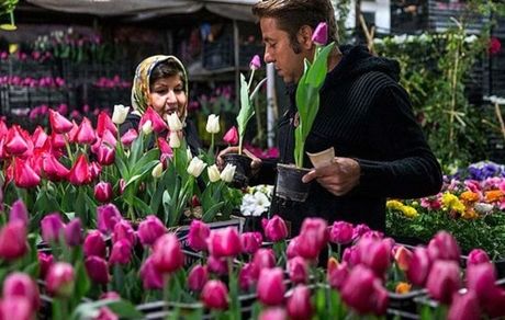 چرا گل گران شد؟