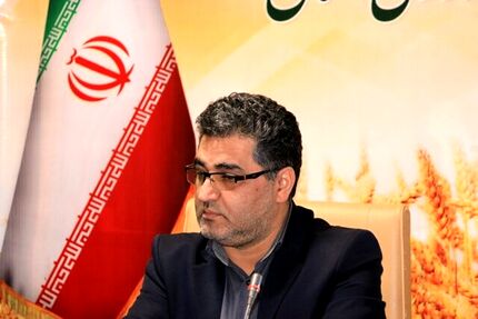 پیش بینی تولید یک میلیون تن گندم در استان کردستان