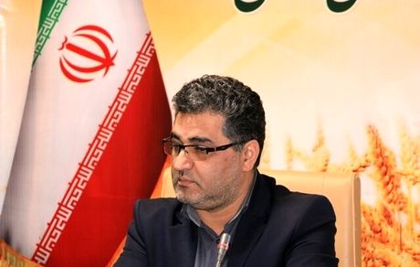 پیش بینی تولید یک میلیون تن گندم در استان کردستان