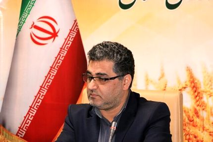 پیش بینی تولید یک میلیون تن گندم در استان کردستان