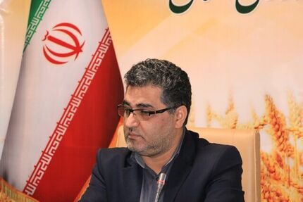 پیش بینی تولید یک میلیون تن گندم در استان کردستان