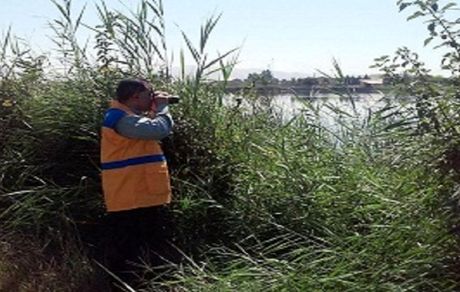 کاهش ۳۰ درصدی شمار پرندگان مهاجر در کرمانشاه
