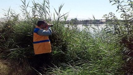 کاهش ۳۰ درصدی شمار پرندگان مهاجر در کرمانشاه