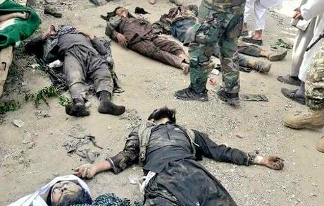 یک فرمانده ارشد طالبان کشته شد