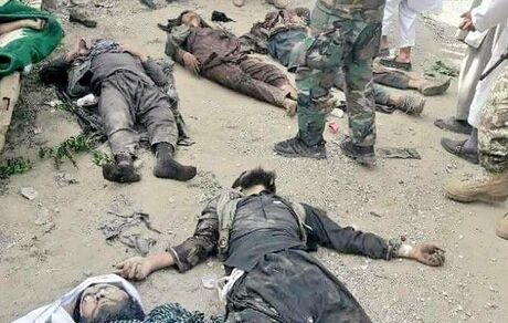 یک فرمانده ارشد طالبان کشته شد