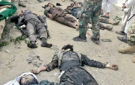 یک فرمانده ارشد طالبان کشته شد