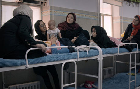 
«سایه‌های بی‌خورشید» به جشنواره «کراکو» دعوت شد
