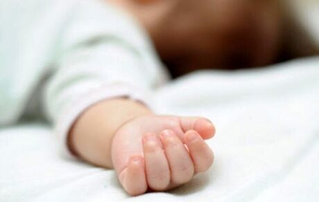 فروش نوزاد در اینستاگرام / قیمت هر نوزاد چند؟