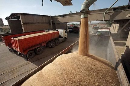 وعده جدید: مطالبات گندمکاران تا ۲۰ روز پرداخت می‌شود