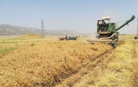 دستگاه مخصوص برداشت حبوبات در بوکان طراحی شد