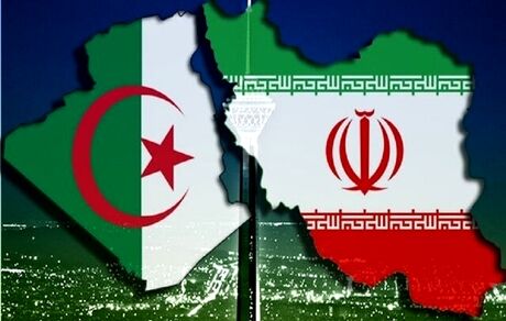 قائم مقام باشگاه تجار ایران و آفریقا: تجارت با الجزایر باید از سر گرفته شود