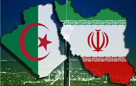 قائم مقام باشگاه تجار ایران و آفریقا: تجارت با الجزایر باید از سر گرفته شود