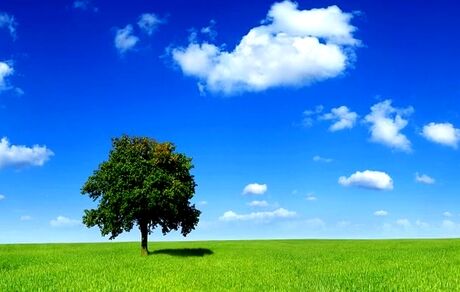 
تنفس هوای پاک در پایتخت
