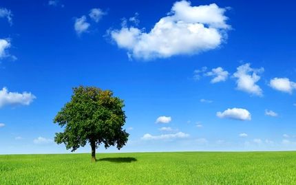 
تنفس هوای پاک در پایتخت
