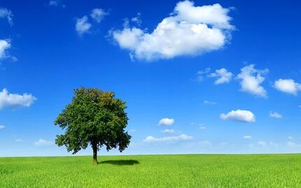 
تنفس هوای پاک در پایتخت
