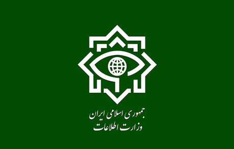 وزارت اطلاعات از انهدام بزرگترین شبکه اخلالگر مالی خبرداد