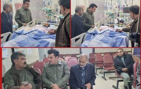 محیط بان شاهرودی از کما خارج شد و به هوش آمد