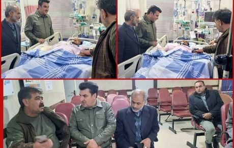 محیط بان شاهرودی از کما خارج شد و به هوش آمد