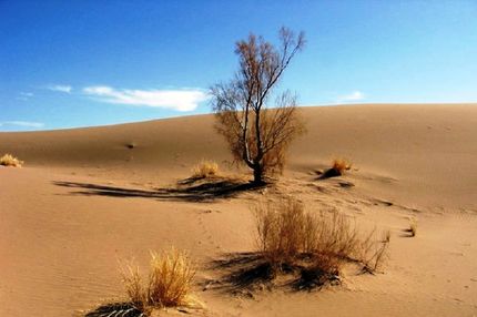 تبدیل دشت قزوین به شبه بیابان
