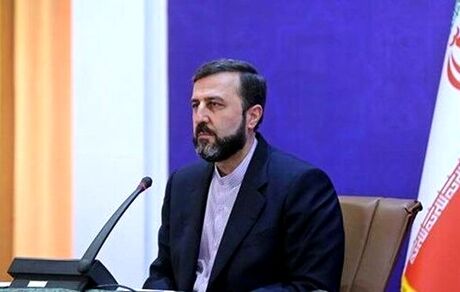 غریب آبادی: پرچم دفاع از حقوق بشر را دشمنان اصلی آن بلند کرده‌اند