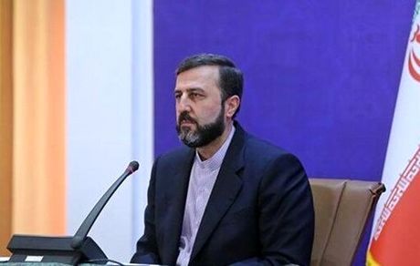 غریب آبادی: پرچم دفاع از حقوق بشر را دشمنان اصلی آن بلند کرده‌اند